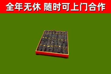 淇市回收海参